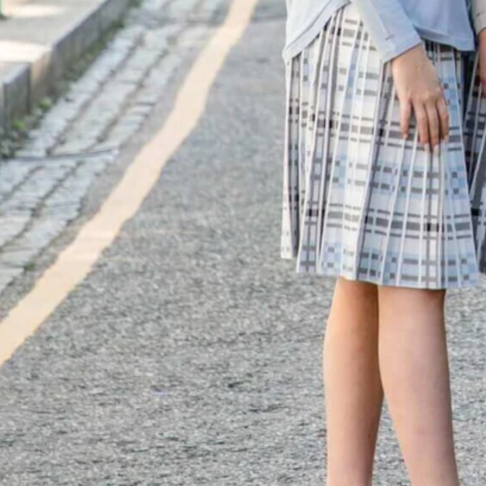 Blue and Gray A-Line Pleated Skirt for Casual Work